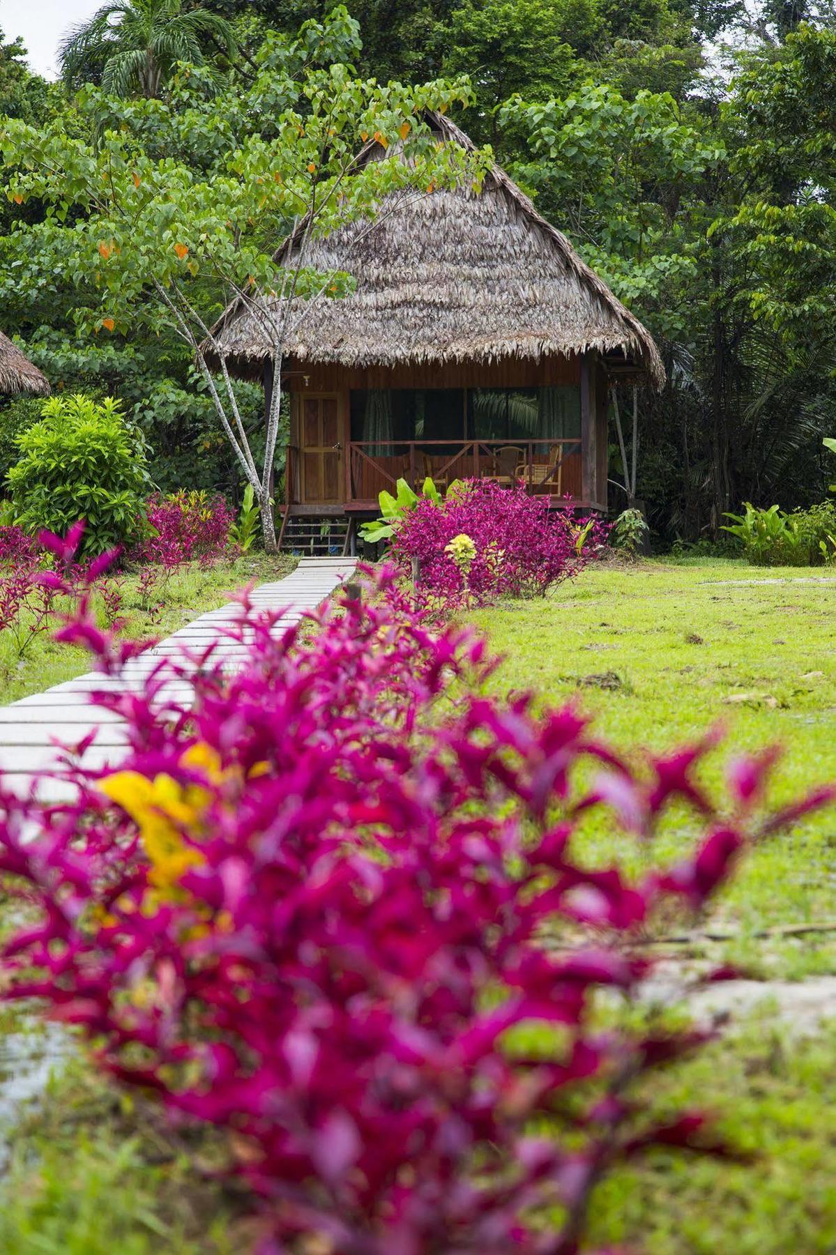 Curaka Lodge Expedition 伊基托斯 外观 照片